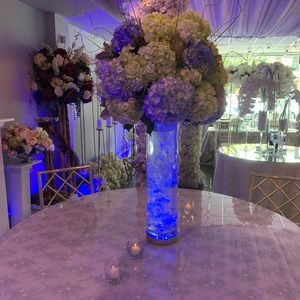 Meet your Posher, Ella